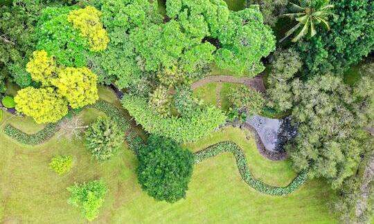 jardineros vitoria
