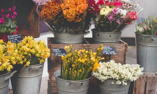 floristerias